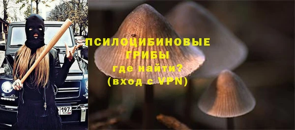 шишки Алексин