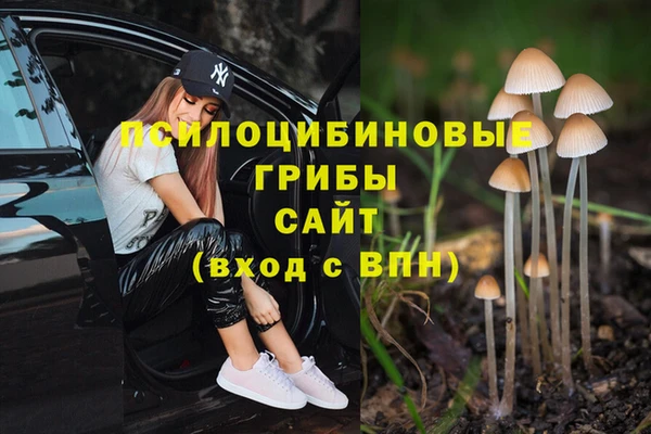 a pvp Алзамай