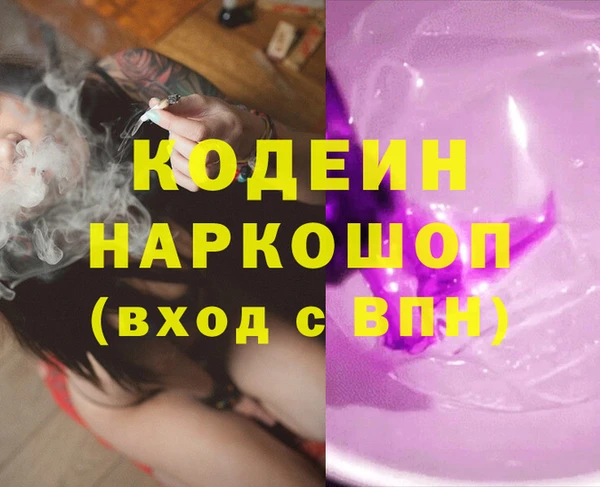 шишки Алексин